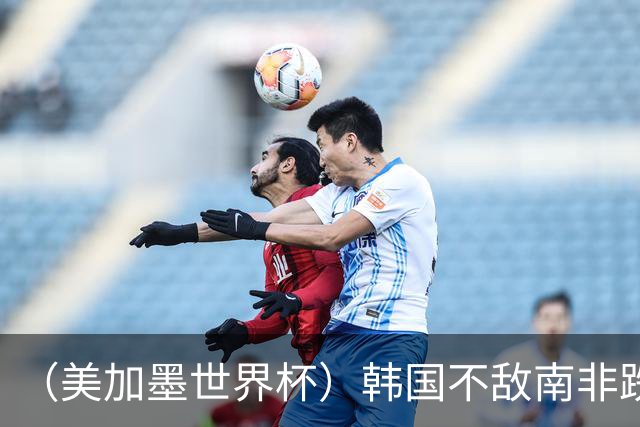 （美加墨世界杯）韩国不敌南非跌至小组第三 出线前景待定